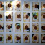 Futhark. Het runen alfabet