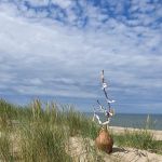 Het Derper Vraauwtje à la Ariane